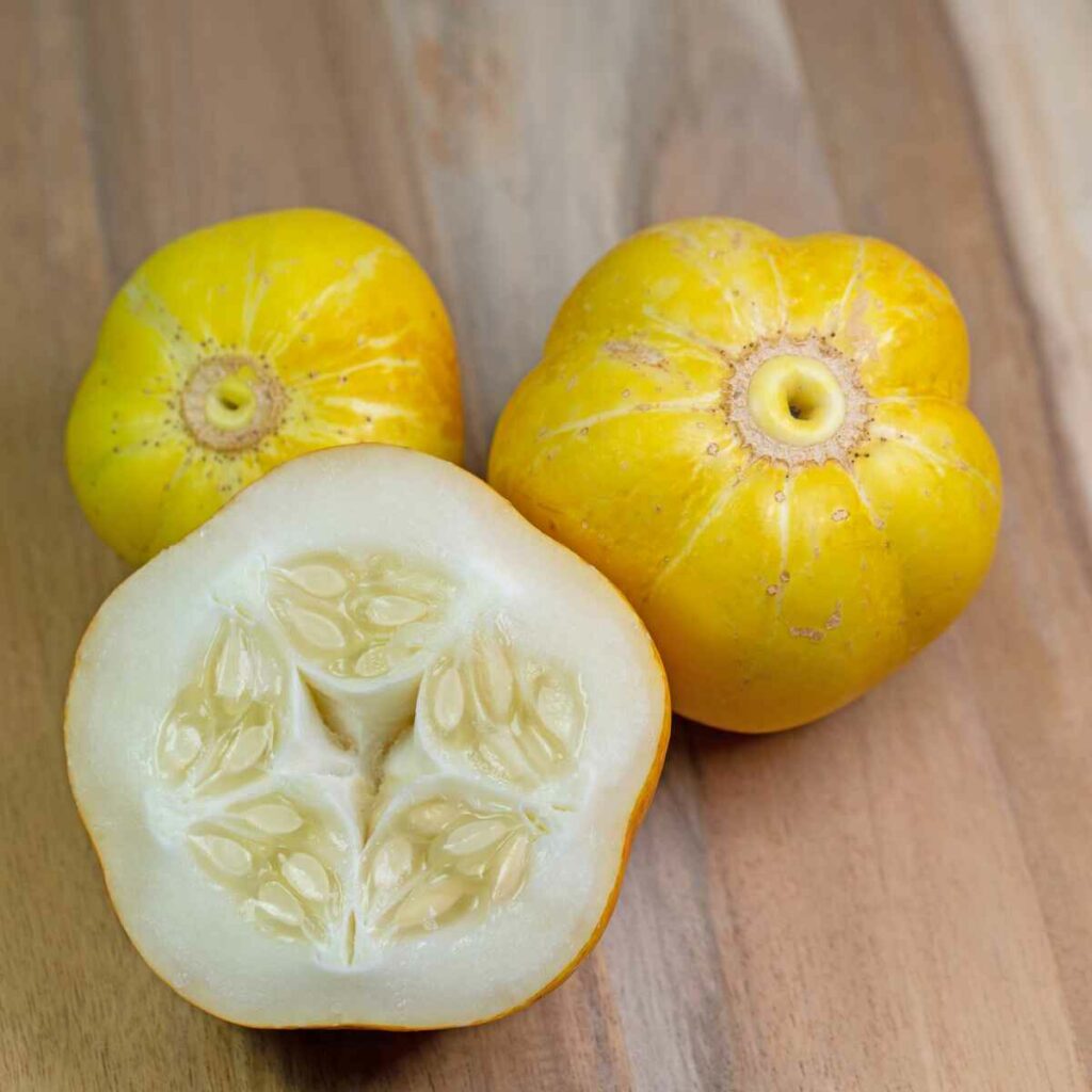 grow Lemon cucumbers, Cucumis sativus, freshly harvested